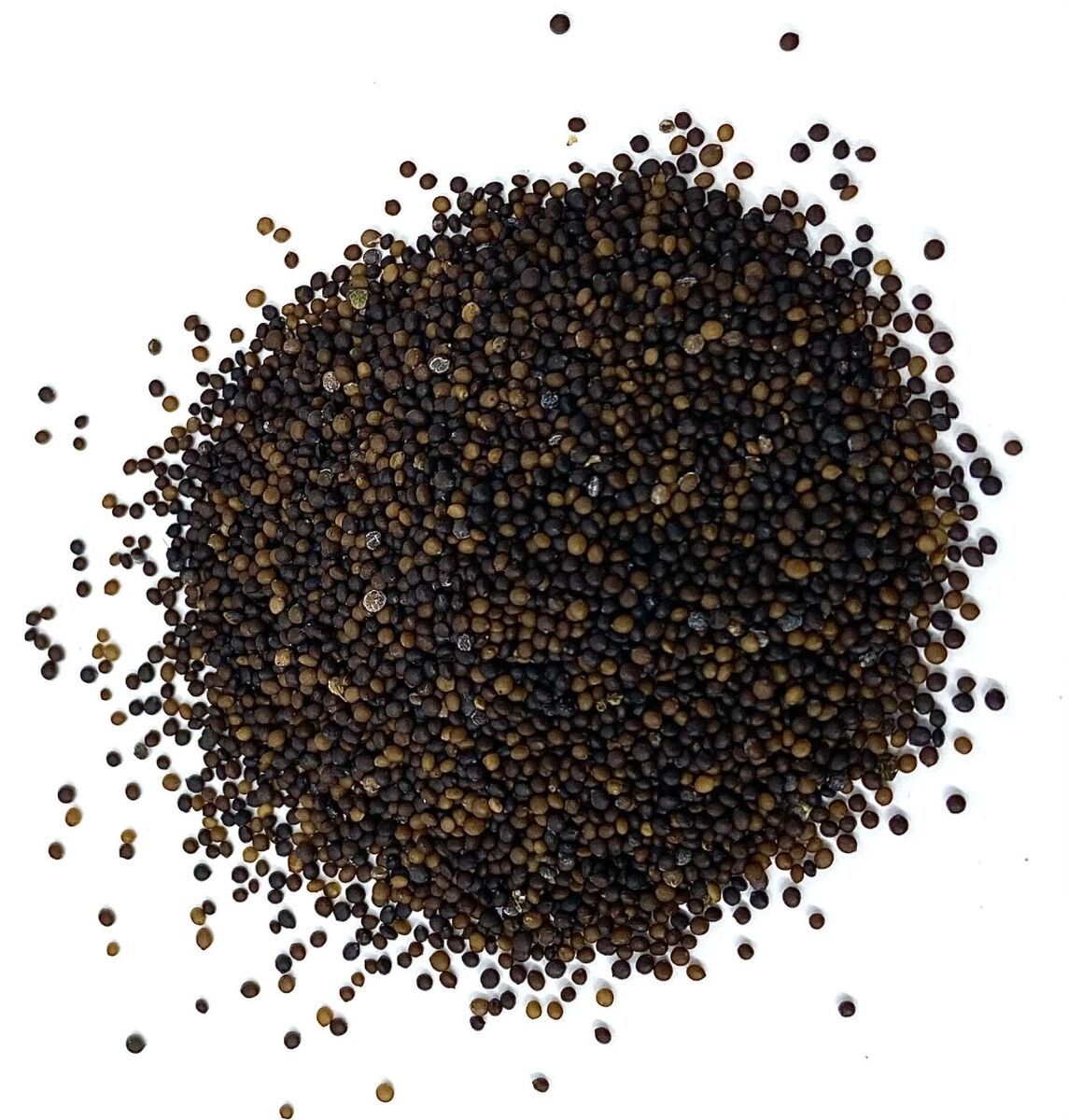 MUSTERD SEEDS SMALL