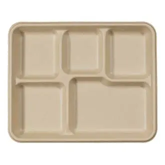 5 COMPARTMENT THALI 500