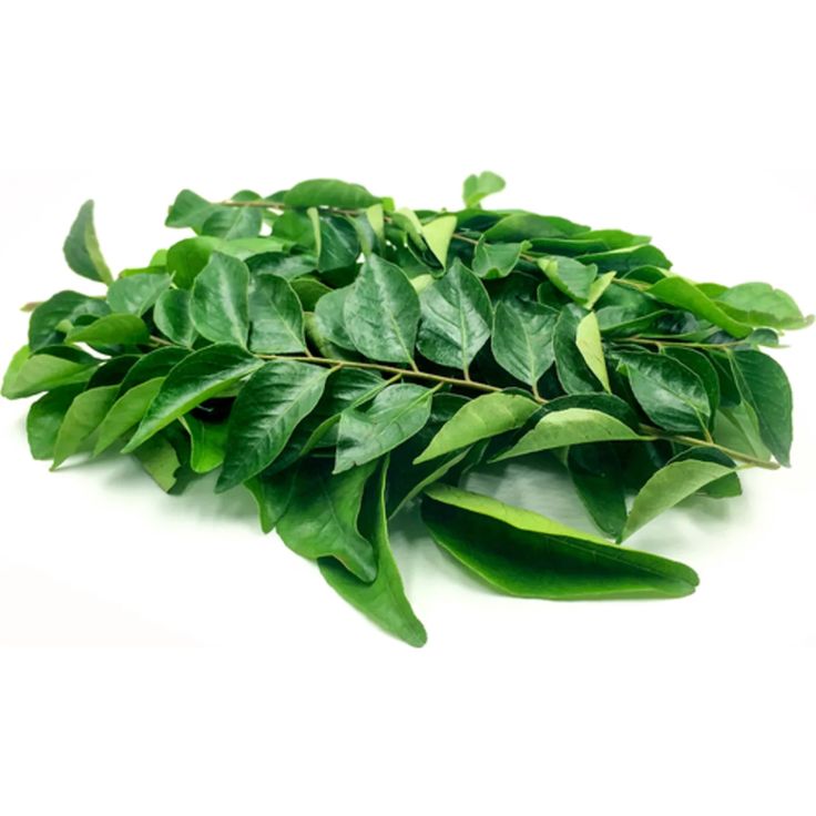 DRY CURRY LEAVES 3.5 OZ OR 99.22 GRAMS
