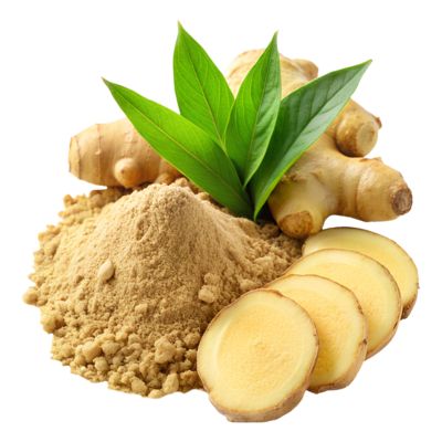 DRY GINGER POWDER