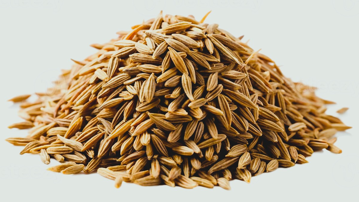 CUMIN WHOLE 14 OZ OR 396.89 GRAMS