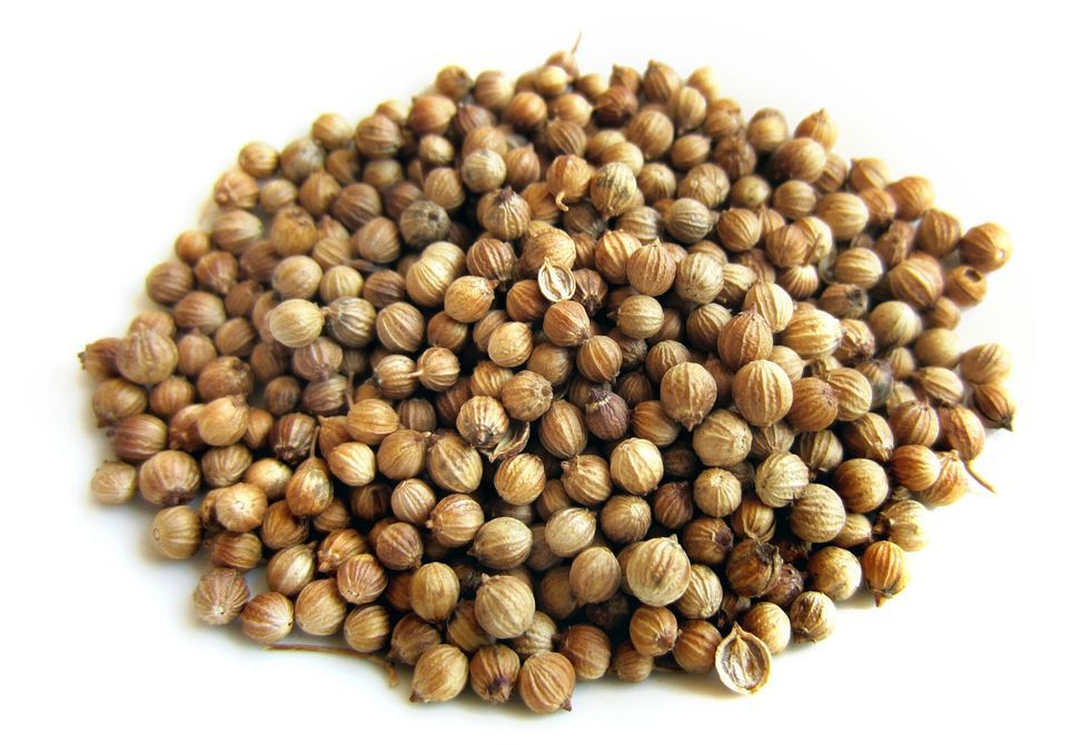 CORIANDER WHOLE 14.OZ 0R 396.89 GRAMS