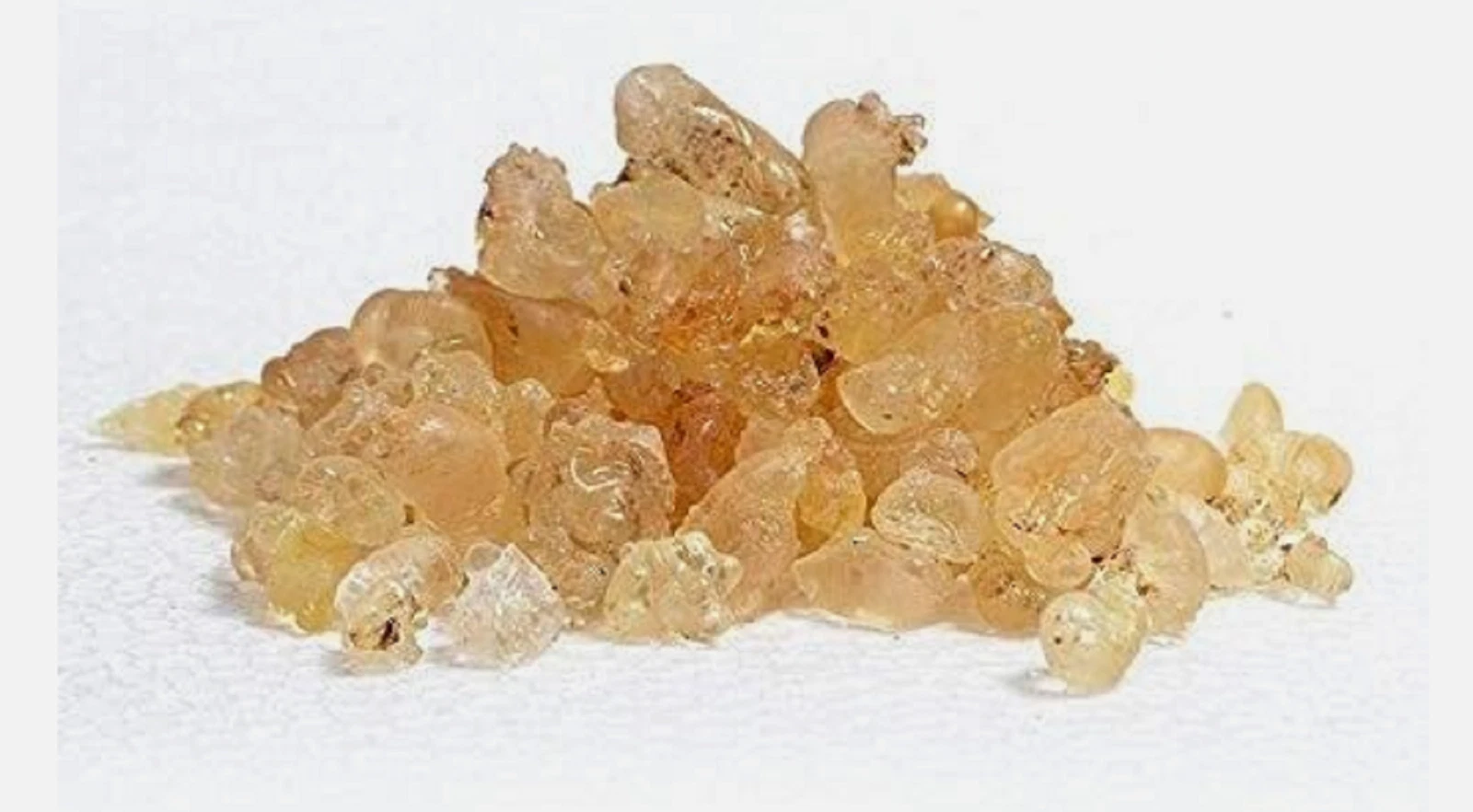KATRI GUM